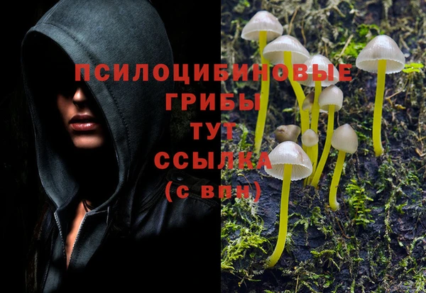 мескалин Баксан