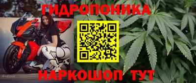каннабис Дубна