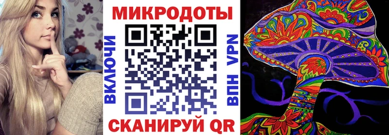 Псилоцибиновые грибы Psilocybine cubensis  Ногинск 